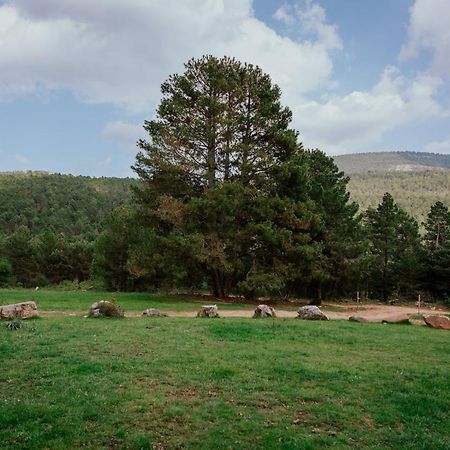 Cotanda - Casa De Montana Aislada En El Macizo Del Penyagolosa プエルトミンガルボ エクステリア 写真