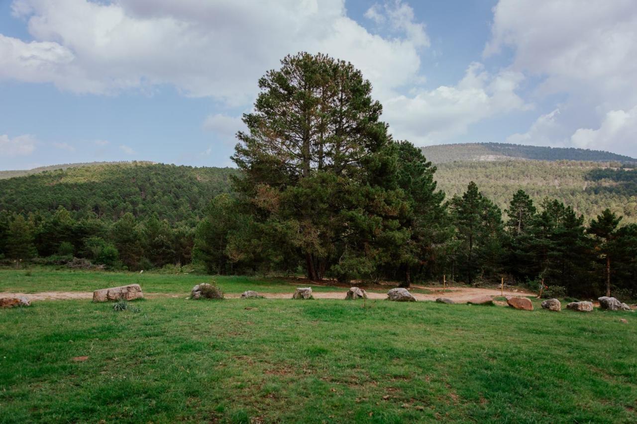 Cotanda - Casa De Montana Aislada En El Macizo Del Penyagolosa プエルトミンガルボ エクステリア 写真