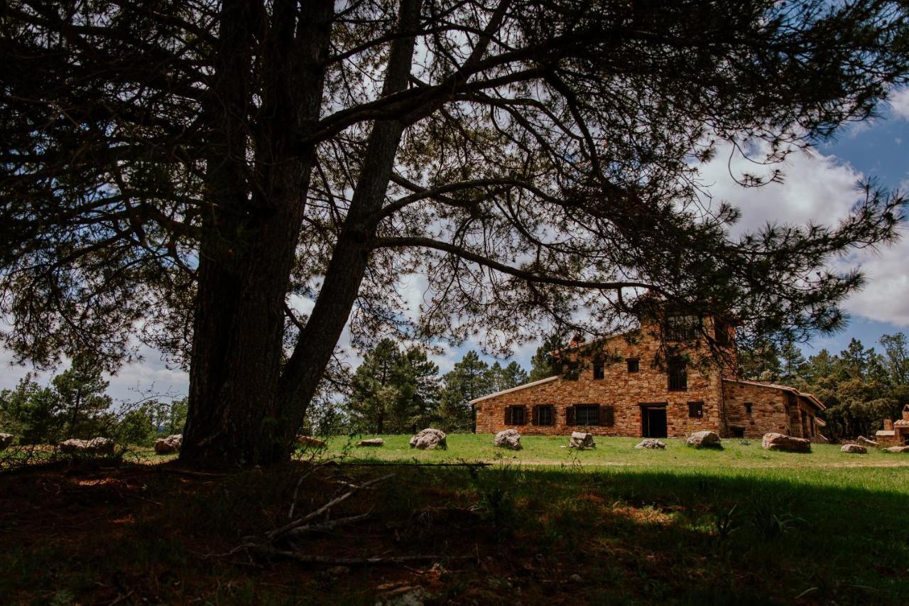 Cotanda - Casa De Montana Aislada En El Macizo Del Penyagolosa プエルトミンガルボ エクステリア 写真